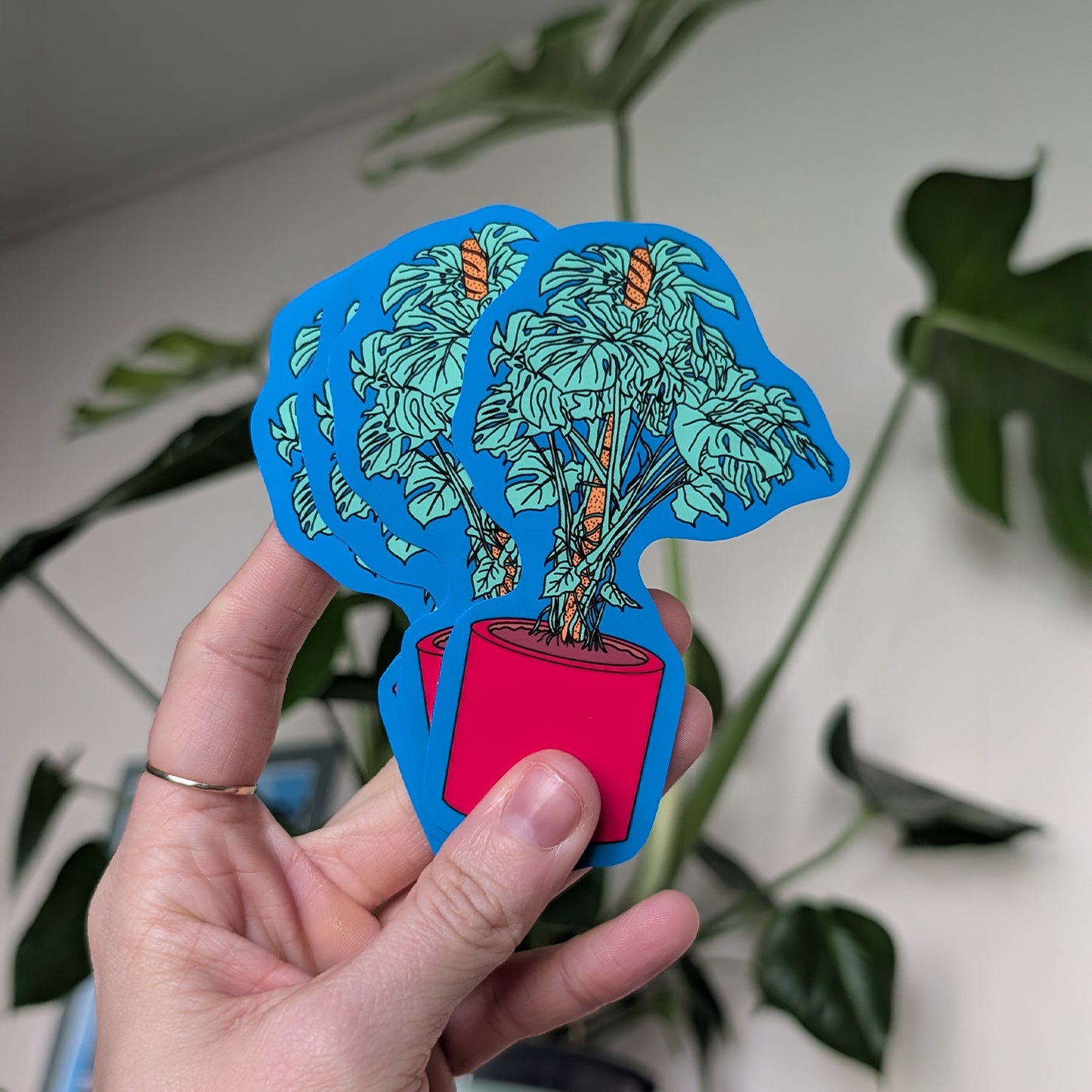 Monstera Stickers, The Standard Hotel